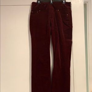 JAG Hi Rise straight leg jeans size 10